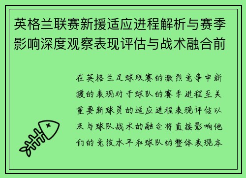 英格兰联赛新援适应进程解析与赛季影响深度观察表现评估与战术融合前景